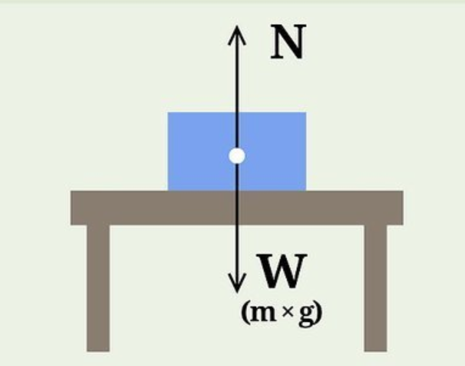 <p>The support force from the surface.</p>