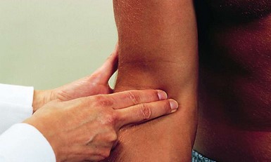 <p>inner elbow</p>
