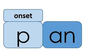 <p>initial consonant/consonant blend before the vowel in a word</p>