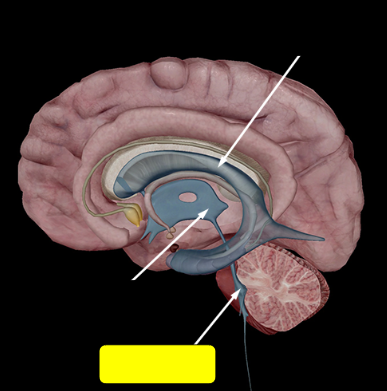 <p>Name the structure</p>