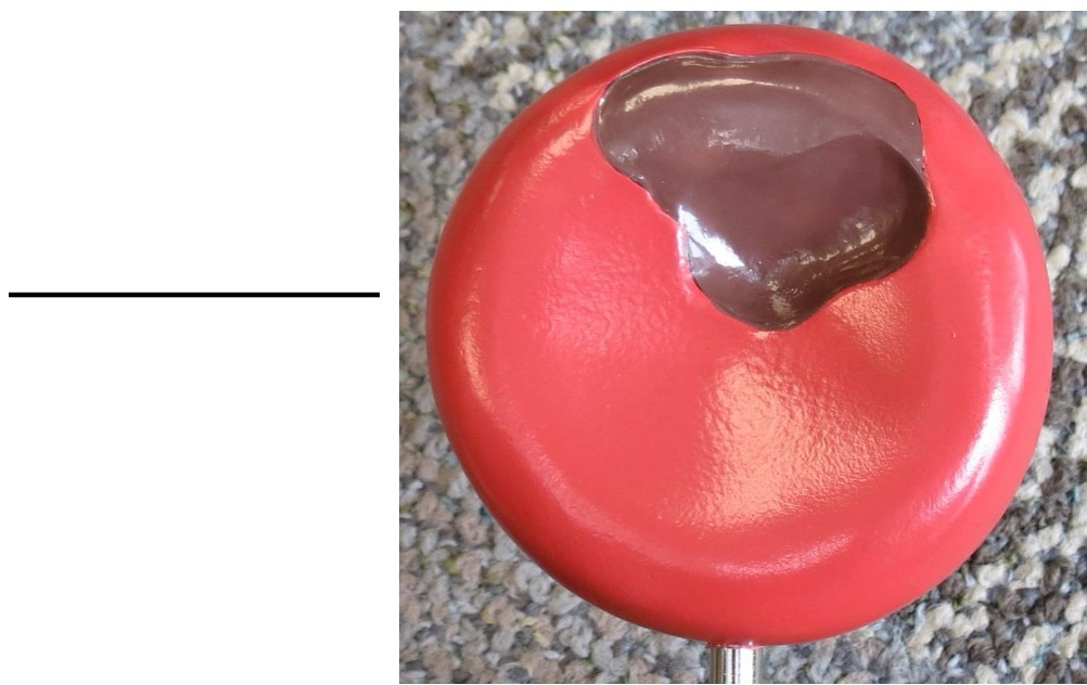 <p>Name this cell and function</p>