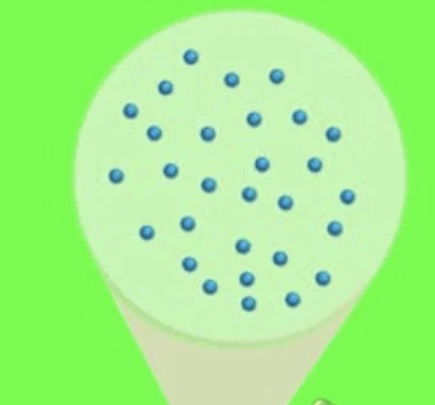 <p>Ribosome</p>