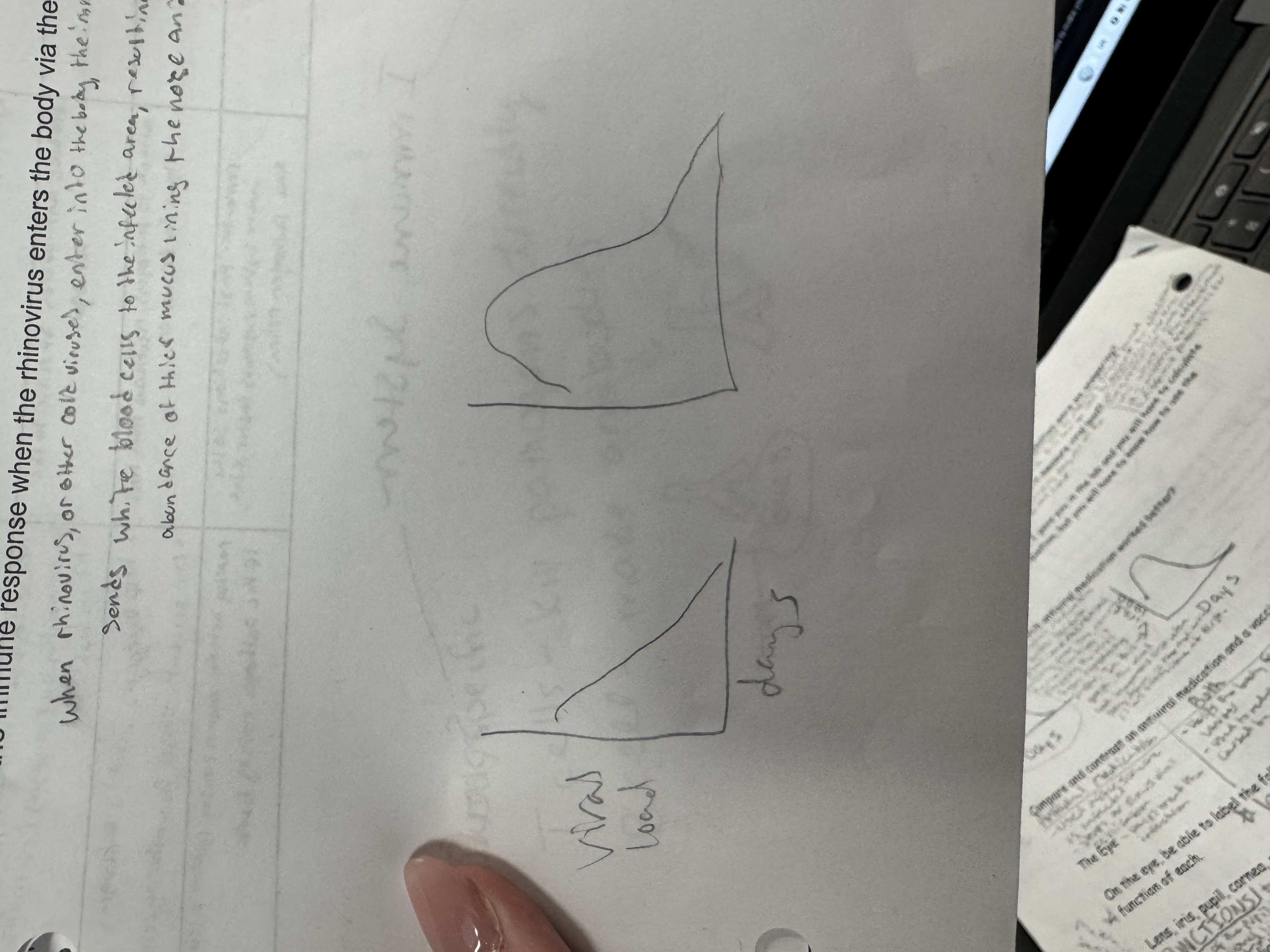 <p>given the two graphs, which antiviral medication worked better</p>
