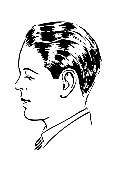 term image