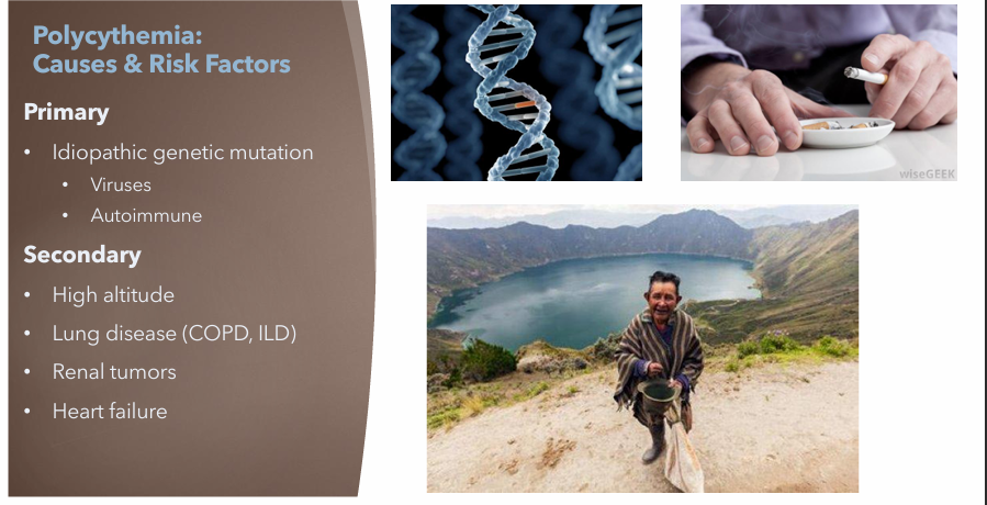 <ul><li><p>High altitude</p></li><li><p>Lung Disease (COPD, ILD)</p></li><li><p>Renal tumors</p></li><li><p>Heart failure</p></li></ul><p></p>