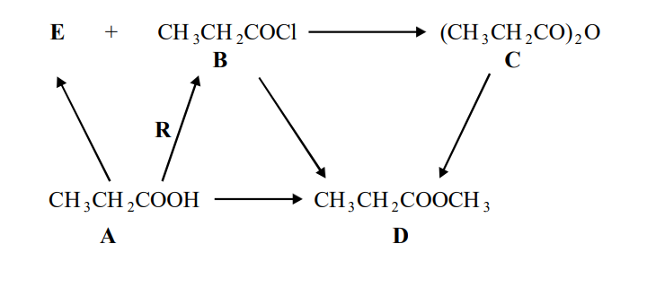 <p>State the appropriate reaction conditions for the formation of compound D from each of the compounds A, B and C.</p>