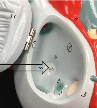 <p>What is this?</p>