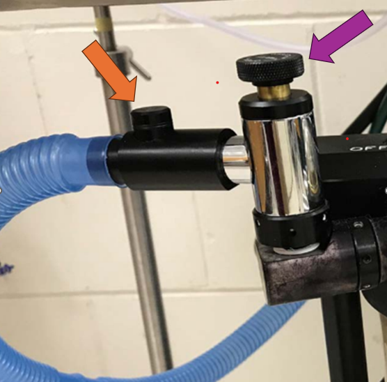 <p>Please match the arrows to the correct term.</p>