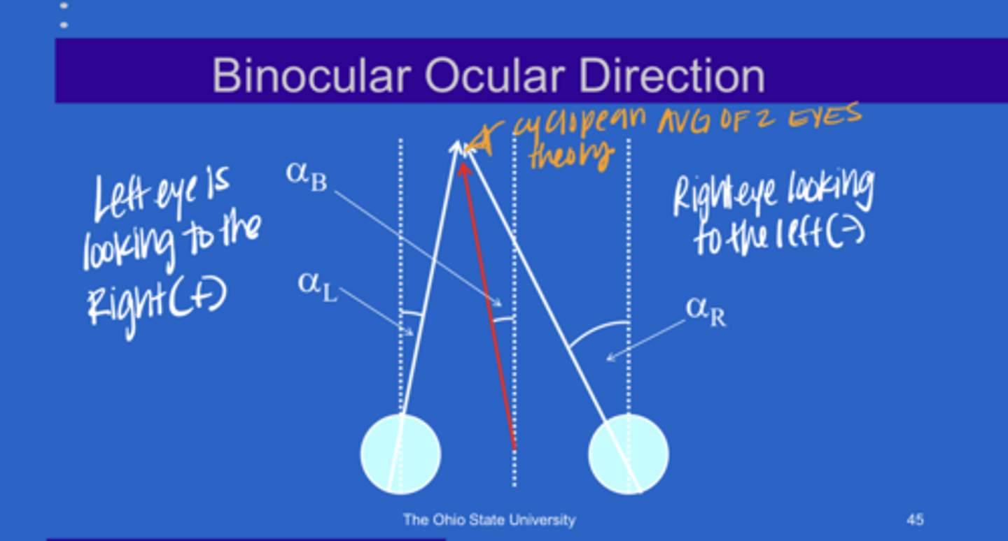 <p>Binocular Ocular Direction -- Combining aR and αL (Pic)</p>