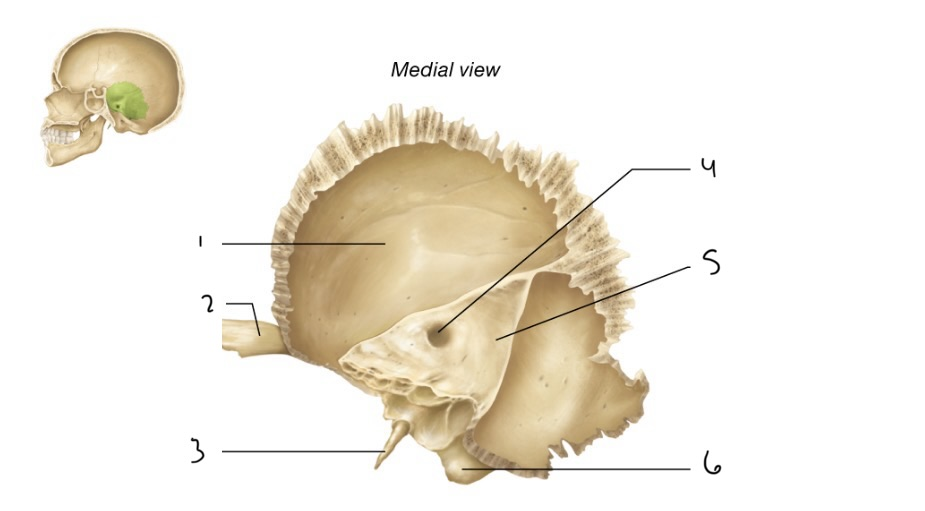 <p>4</p>