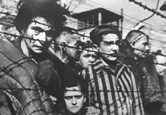 <p>A methodical plan orchestrated by Hitler to ensure German supremacy. It called for the elimination of Jews, non-conformists, homosexuals, non-Aryans, and mentally and physically disabled.</p>