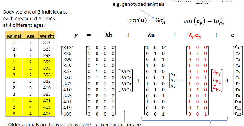 <p>Repeated records - example</p>