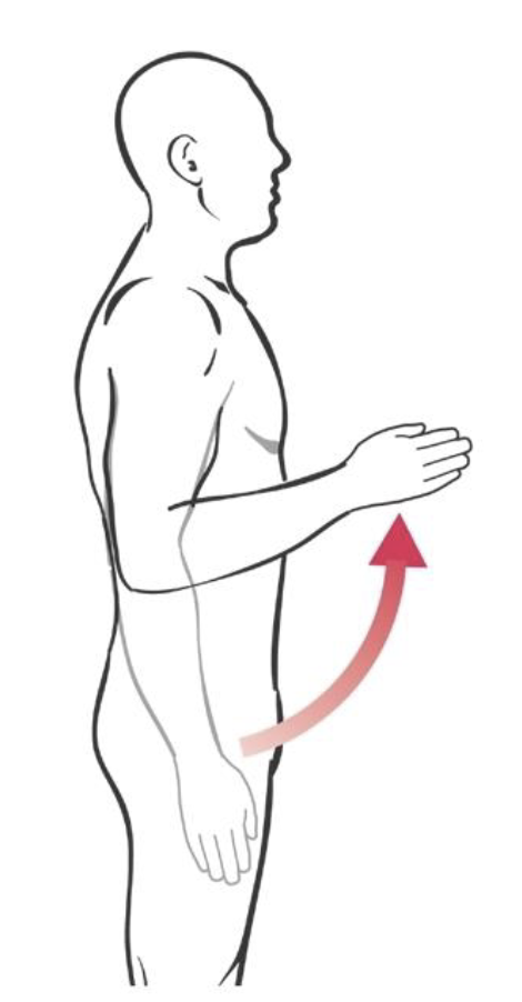term image