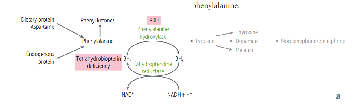 <p>PKU</p>