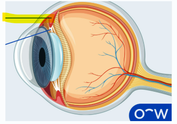 <p>What is the highlighted area</p>