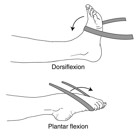 <p><strong>Dorsiflexion</strong> occurs at the ankle joint and involves the sole of the foot moving upwards away from the floor. It is in fact, the extension movement at the ankle joint.</p><p><strong>Dorsiflexion</strong> is brought about by the combined action of extensor muscles in the front of the leg (extensor hallucis longus, extensor digitorum longus, extensor hallucis longus and peroneus tertius).</p><p>The opposite of <strong>dorsiflexion</strong> is plantar flexion, which also occurs at the ankle joint but it involves the foot pointing downwards towards the floor.</p>