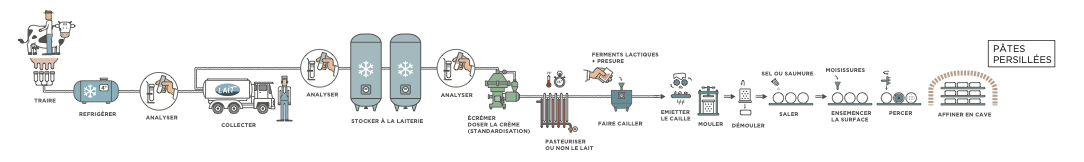 <ol><li><p>Caillage + emprésurage</p></li><li><p>Égouttage</p></li><li><p>Ensemencement au pénicillium → “bleu”</p></li><li><p>Moulage</p></li><li><p>Démoulage</p></li><li><p>Piquage pour faire entrer l’air → dvpt des moisissures </p></li><li><p>Affinage en cave </p></li></ol><p></p>