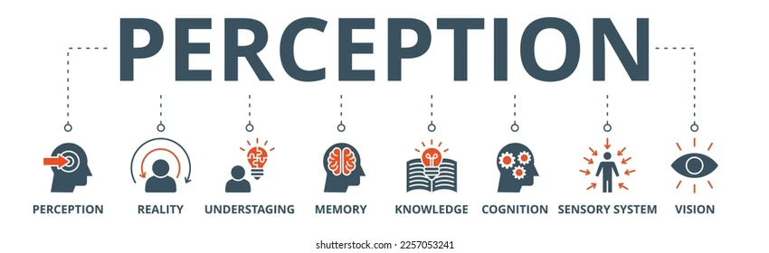 <p>perception</p>