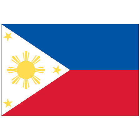 <p>Filipino </p>