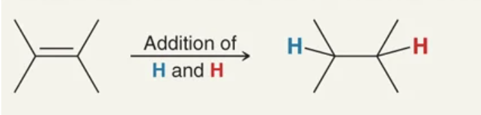 <p>addition of H and H</p>