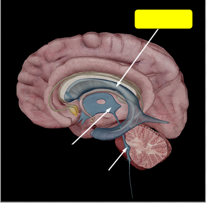 <p>Name the structure</p>