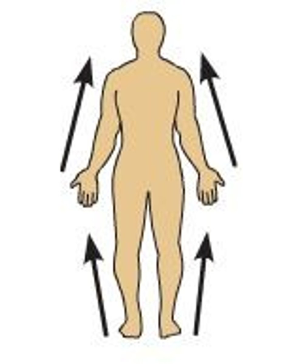 <p>Closer to the point of attachment.</p>