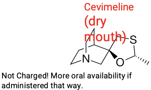 <p>A <span style="color: red;">synthetic muscarine analog</span>, selectively activates M3 receptors: <span style="color: red;"><strong>Treat dry mouth</strong></span> (radiation therapy, Sjögren syndrome). Adverse effects include increased sweating (<span style="color: red;">recall sweat glands are innervated by sympathetic neurons, but the synapse uses acetylcholine so cholinergic drugs activate sweating even though it’s controlled by the sympathetic nervous system</span>), nausea, and visual disturbances caused by drug-induced <span style="color: red;">miosis (small pupils)</span>. </p><p>Do these side effects make sense? Would they also apply to IV (why would it need to be IV? Charged!) administered bethanecol, carbachol? YES</p>