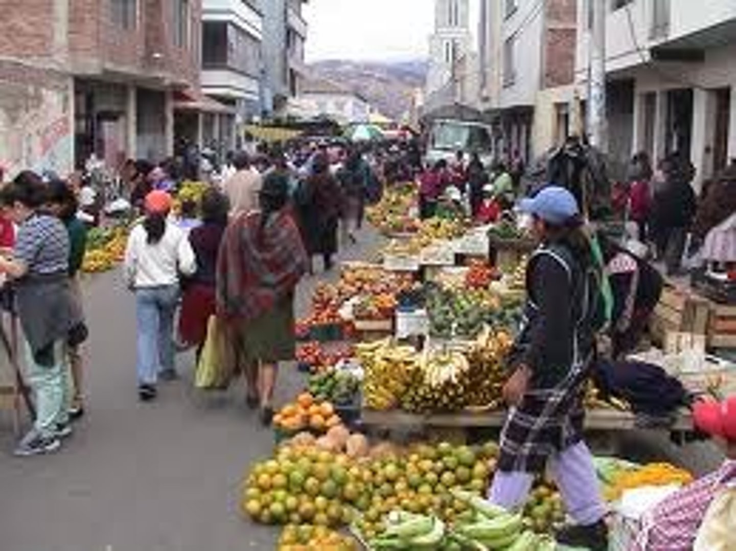 <p>market</p>