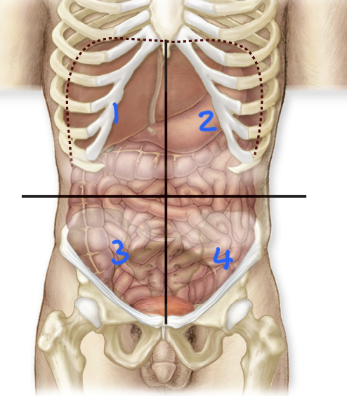<p>4</p>