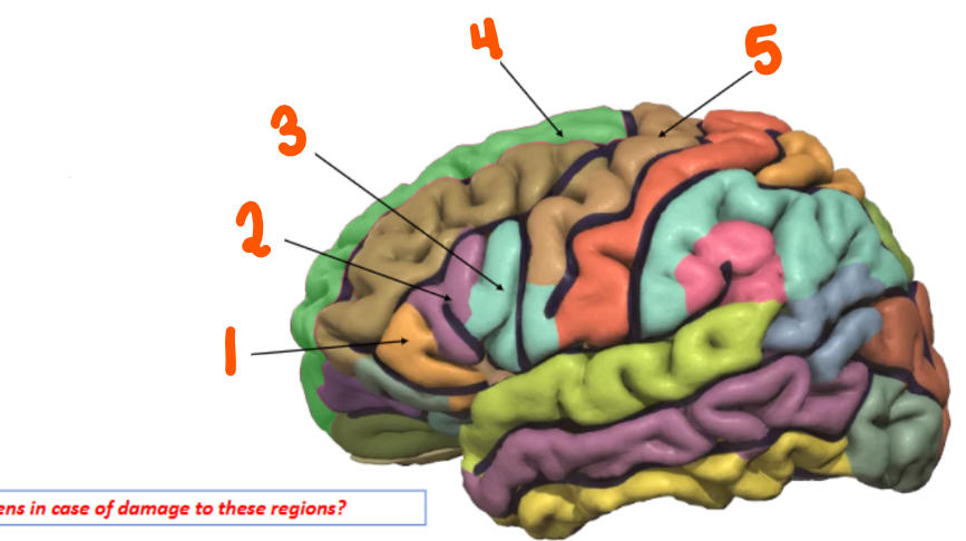 <p>5</p>