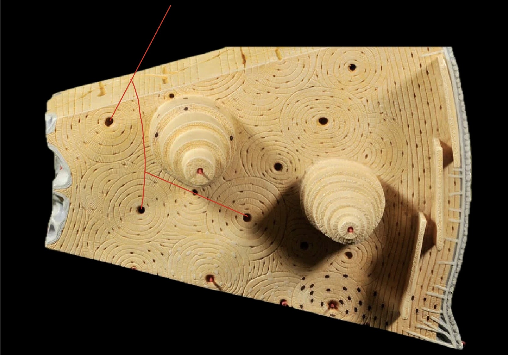 <p>What is this?</p>