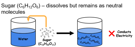<p>DO NOT dissociate into ions when in water → NO electricity (ex: sugar, ethanol, acetone)</p>
