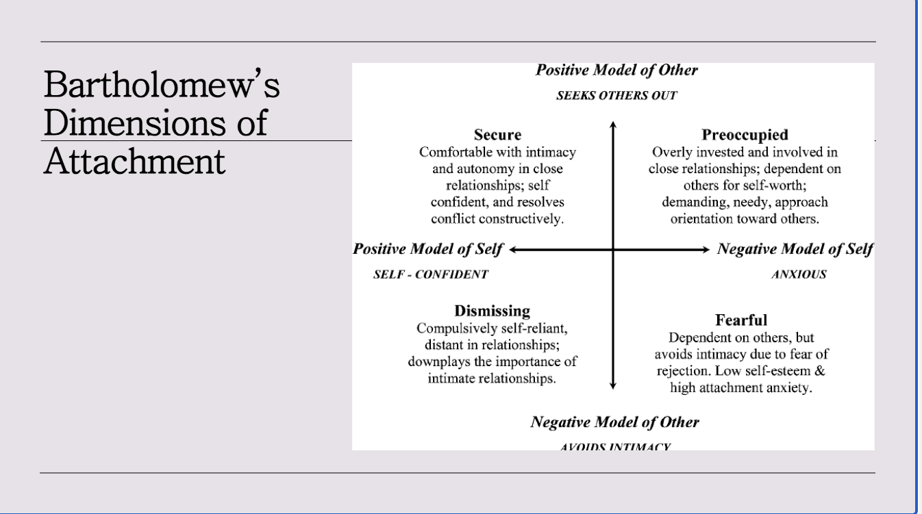 <p><span>Comfortable with intimacy and autonomy; self-confident; resolves conflict constructively</span></p><ul><li><p>positive model of the self and other</p></li></ul><p></p>