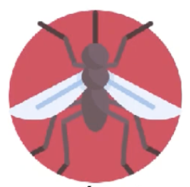 <p>Term 20</p>