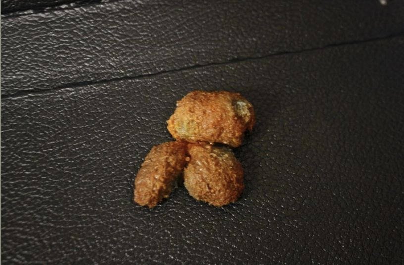 <p>Identify this scat</p>