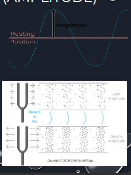 <p>●The amplitude of a transverse wave is the maximum distance the medium moves up</p><p>and down from its rest position.</p><p>●The amplitude of a longitudinal wave is the measure of how compressed the compression is.</p><p>○Dense compressions = high amplitude </p>