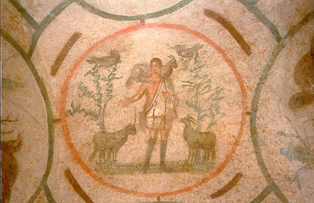 term image