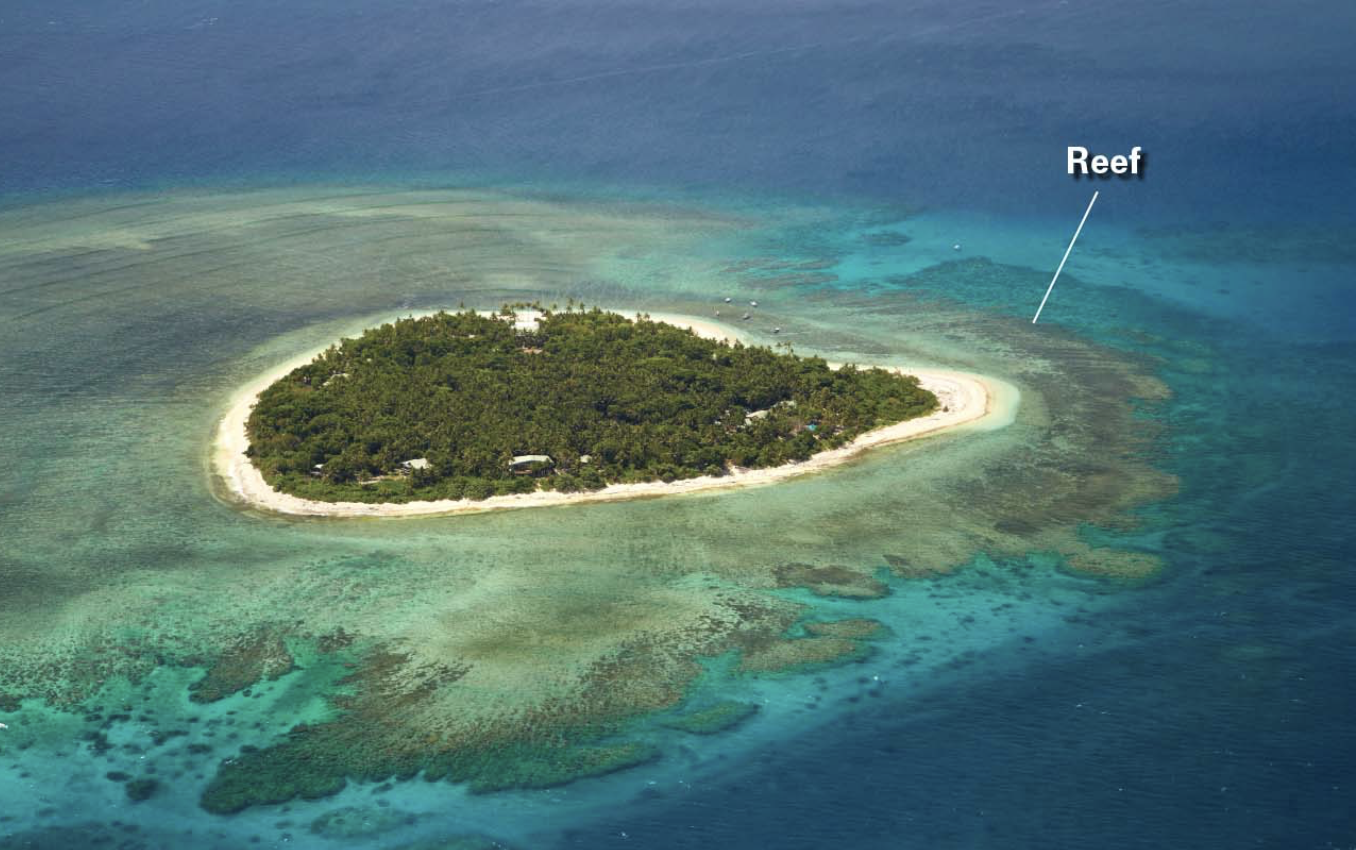 <p>Shallow-Marine Carbonate Environments:</p>