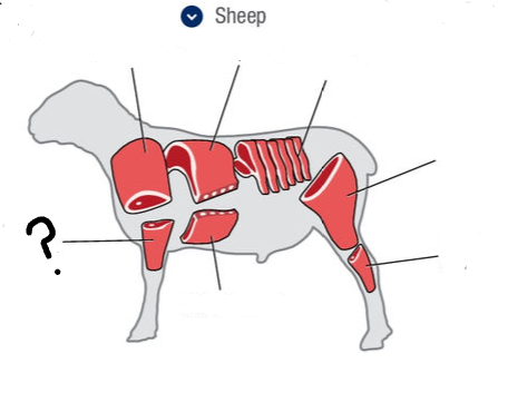 <p>What is this cut of meat?</p>