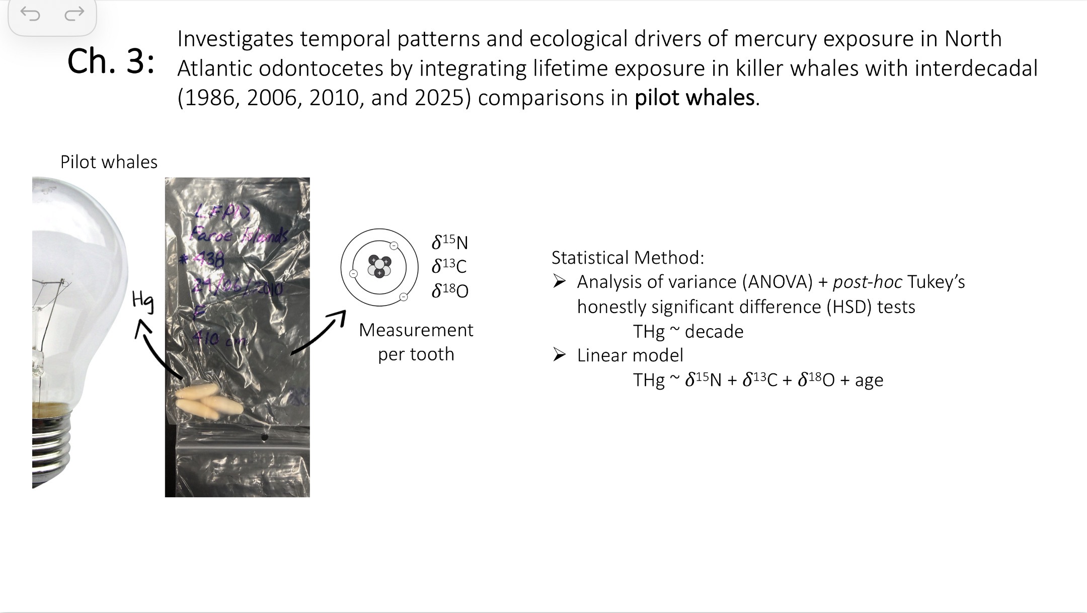 <p>Investigates temporal patterns and ecological drivers of mercury exposure in North Atlantic odontocetes by integrating lifetime exposure in killer whales with interdecadal (1986, 2006, 2010, and 2025) comparisons in pilot whales.</p>