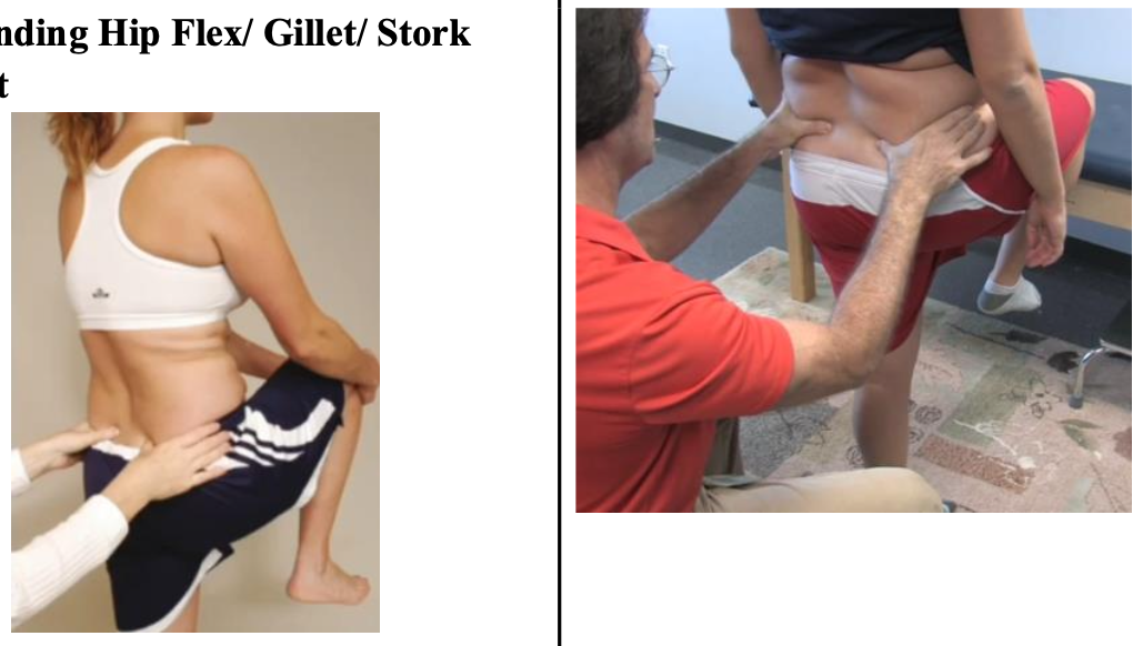 <p><strong>Purpose:</strong> Assess SIJ mobility/asymmetry in standing</p><p></p><p><strong>How to Perform:</strong></p><ol><li><p>Patient standing</p></li><li><p>Palpate under both PSISs</p></li><li><p>Patient raises one leg to flex one hip to 90 degrees</p></li></ol><p></p><p><strong>Positive Test:</strong> PSIS on raised leg remains where it is or moves superiorly</p><ul><li><p>Normally, the PSIS on the raised leg should drop</p></li></ul><p></p><p><strong>Interpretation:</strong></p><ul><li><p>May suggest SIJ restriction</p></li><li><p>Poor reliability/validity</p></li></ul><p></p>
