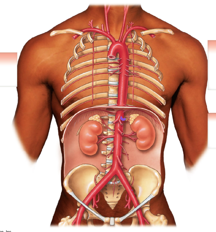 <p>diagram  </p>