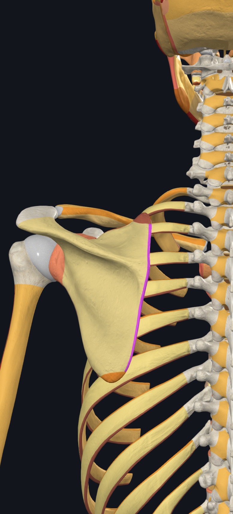 <p>what is this?</p>