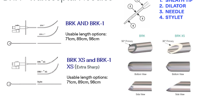 <p>Transseptal Needles</p>