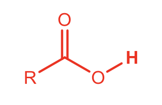 <p>Carboxylic Acid</p>