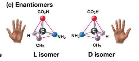 <p>enantiomers</p>