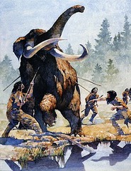 <p>the large mammals of a particular region, habitat, or geological period</p>