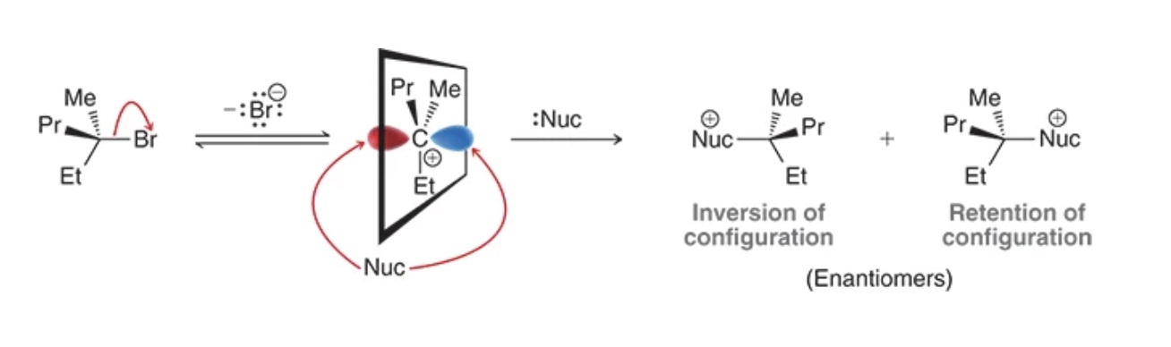 <p>both, inversion, retention, racemic</p>