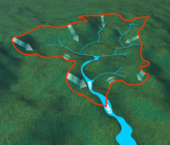 <p>sự / hệ thống thoát nước</p>