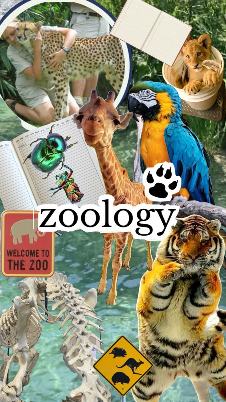<p>The university's department of … organized an expedition to study the behavioral adaptations of nocturnal predators in Africa. (nghiên cứu về động vật)</p>